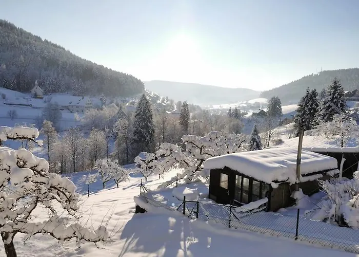 Wohnung Im Tonbachtal/ Baiersbronn Mit Traumausblick