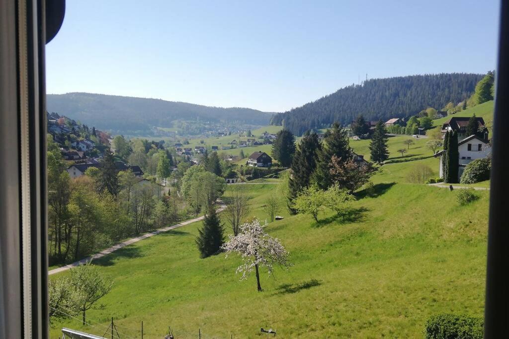 Apartment Im Tonbachtal/ Mit Traumausblick *