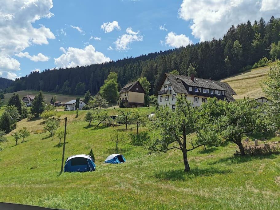Im Tonbachtal/ Mit Traumausblick * Baiersbronn